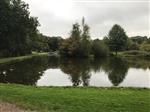Losse wedstrijd